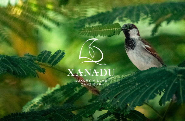 Picture of bird in tropical surroundings and logo of Xanadu Luxury Villas Zanzibar